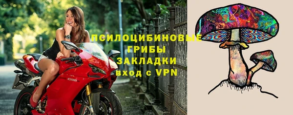 крисы Беломорск