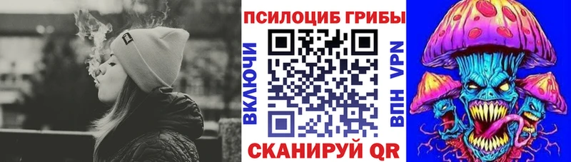 площадка формула  закладки  Володарск  Псилоцибиновые грибы Psilocybine cubensis 