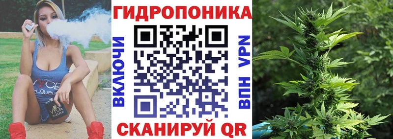 продажа наркотиков  Володарск  мега как зайти  Конопля OG Kush 